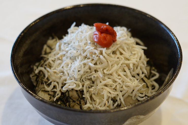 紀州辰ヶ浜直送 しらす丼
